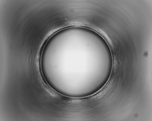 X0000103281035200809191801