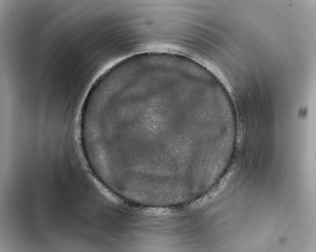 X0000103281037200809191801