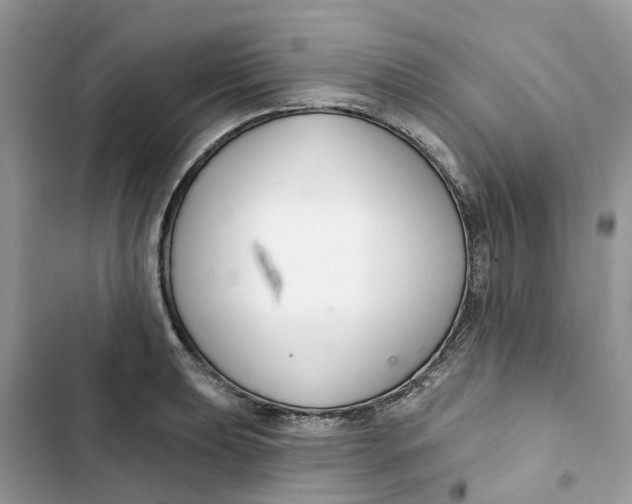 X0000103281039200809191801