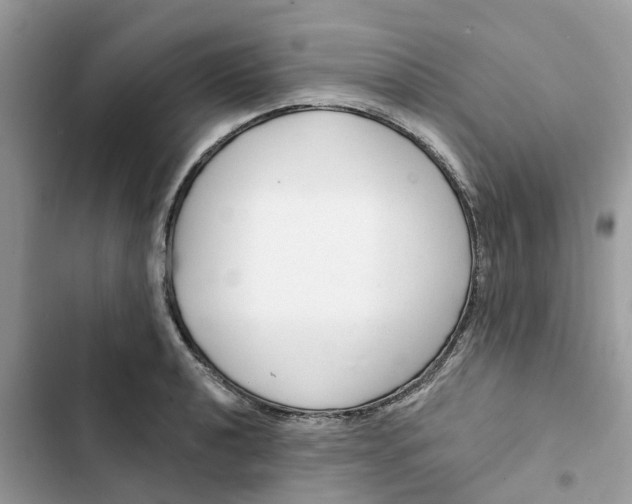 X0000103281040200809191801