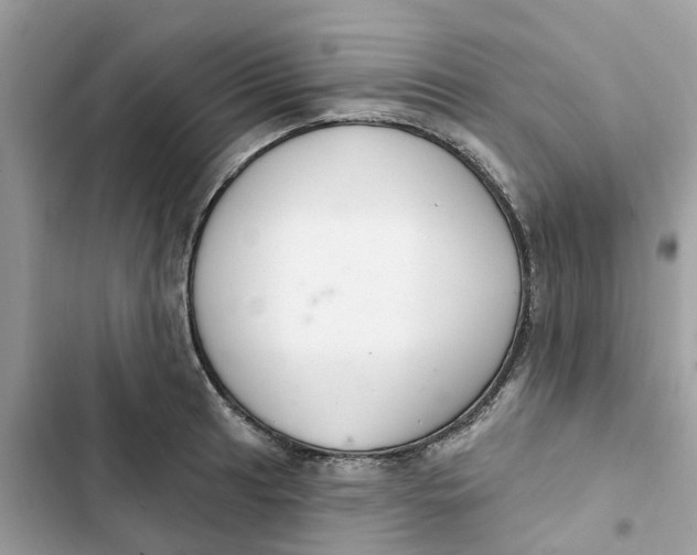 X0000103281041200809191801