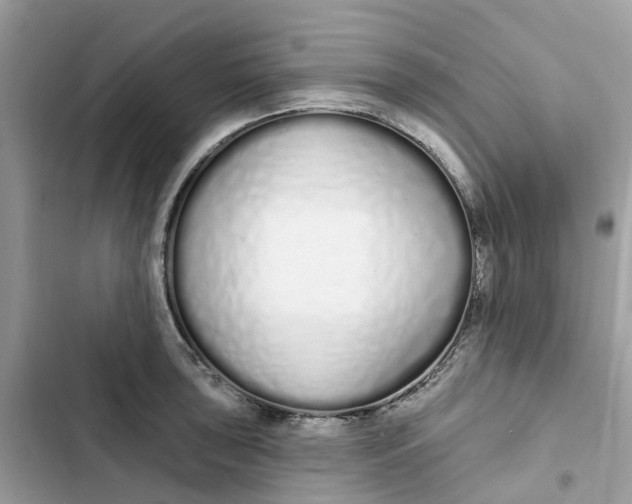 X0000103281043200809191801