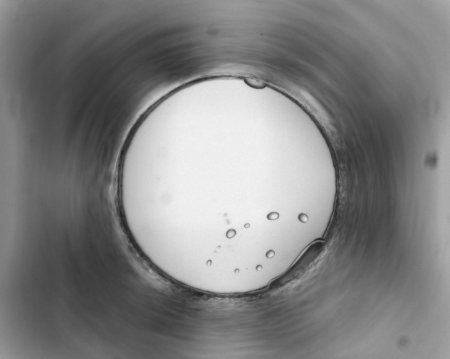 X0000103281044200809191801