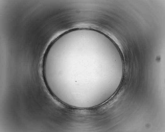 X0000103281045200809191801