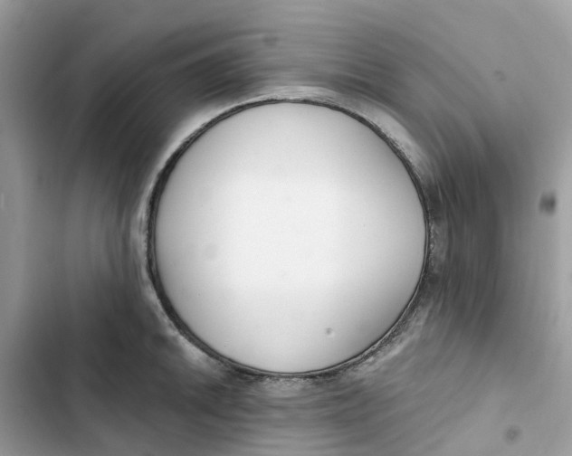 X0000103281046200809191801