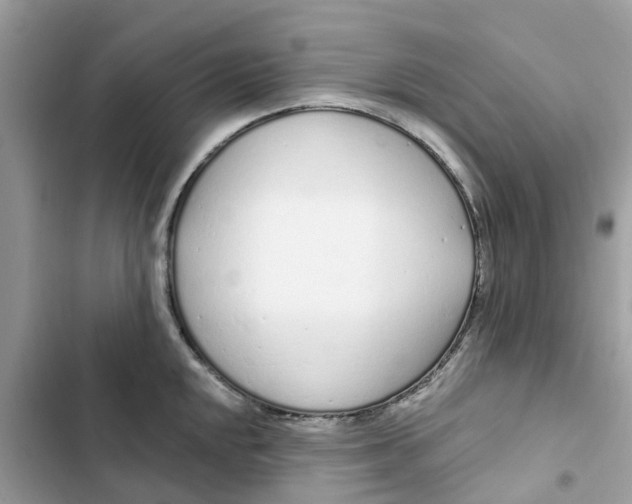 X0000103281048200809191801