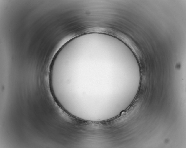 X0000103281050200809191801