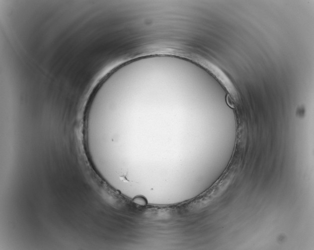 X0000103281051200809191801