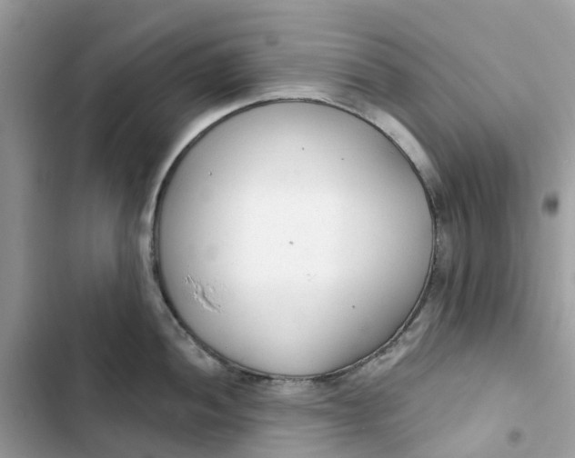 X0000103281052200809191801