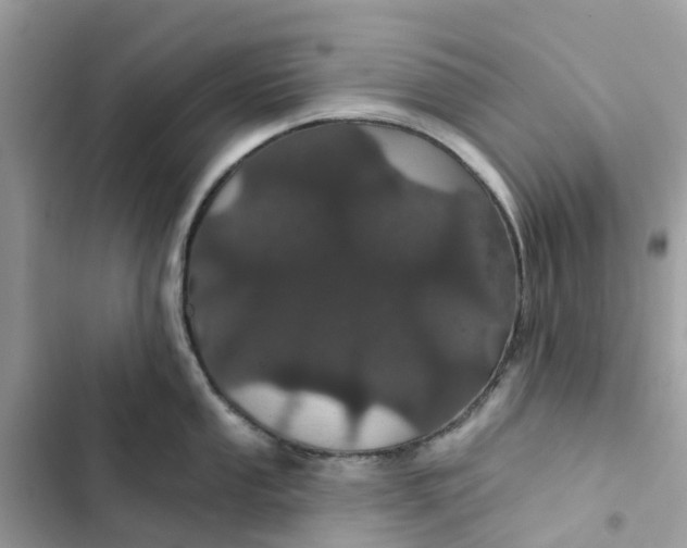 X0000103281053200809191802