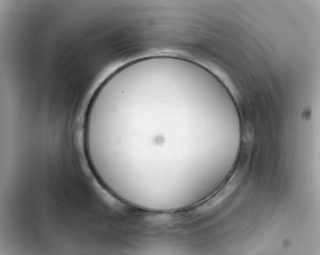 X0000103281054200809191802