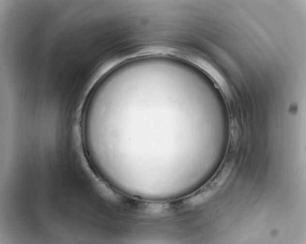 X0000103281055200809191802