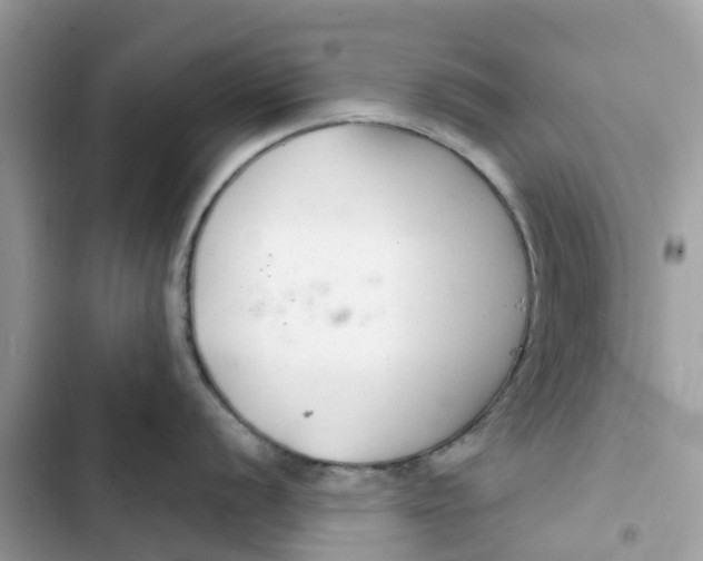 X0000103281056200809191802