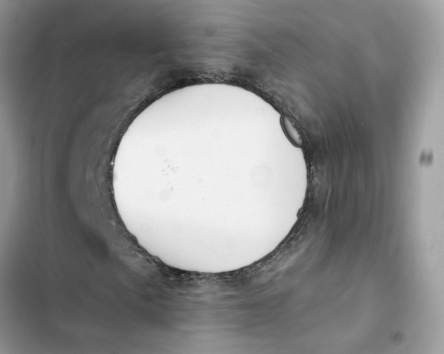 X0000103281057200809191801