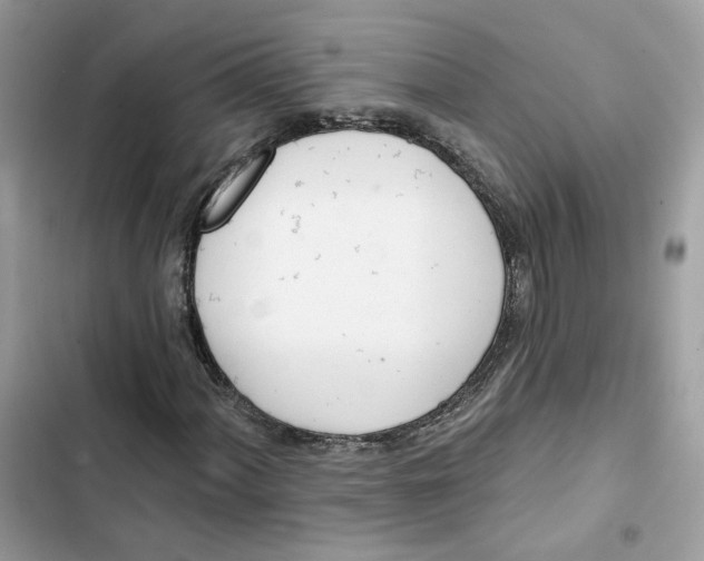 X0000103281060200809191801