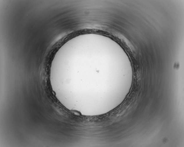 X0000103281064200809191801