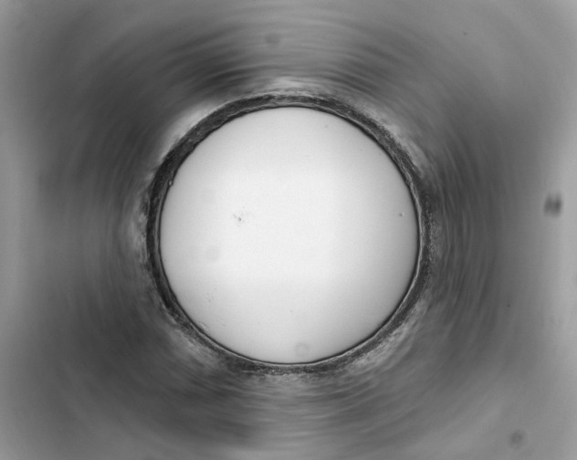 X0000103281066200809191801