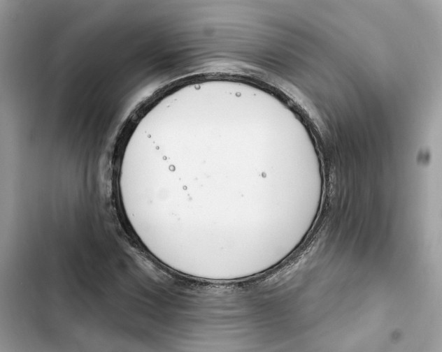 X0000103281067200809191801