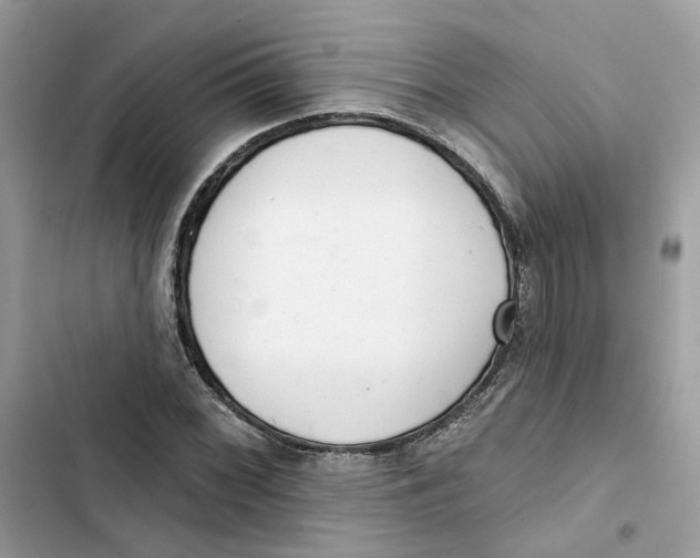 X0000103281068200809191801