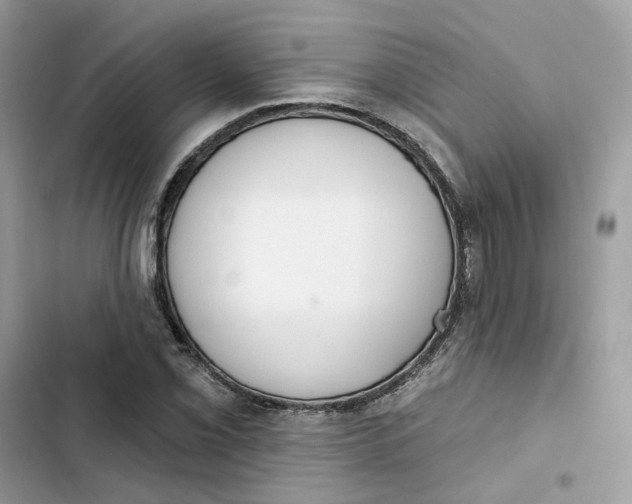 X0000103281069200809191801