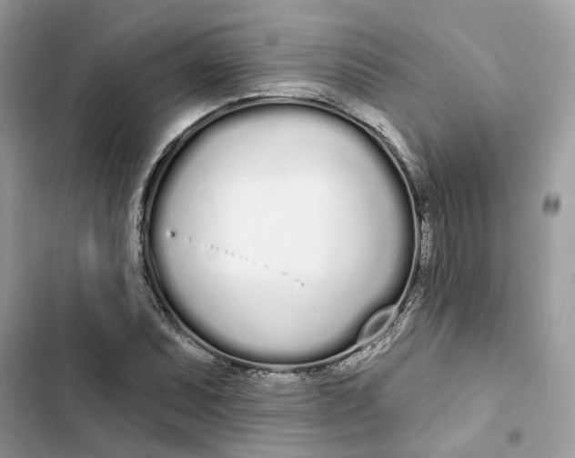 X0000103281071200809191801