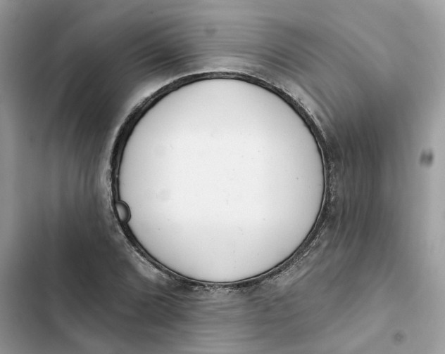 X0000103281072200809191801