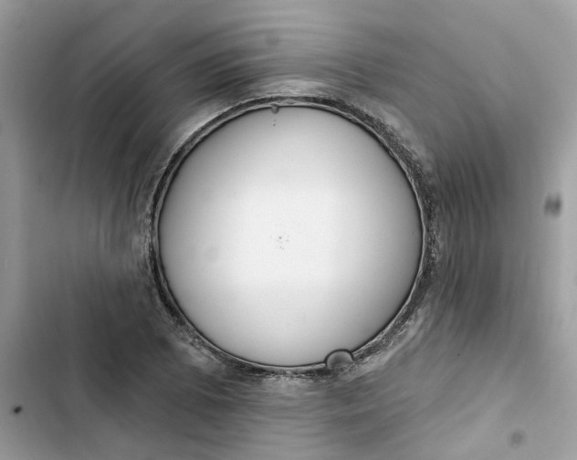 X0000103281073200809191801