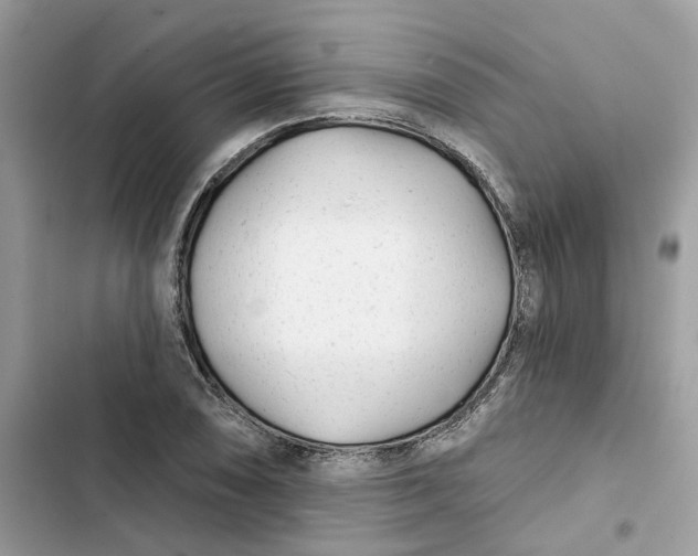 X0000103281074200809191801