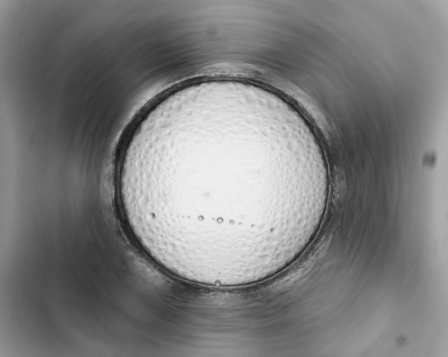 X0000103281075200809191801