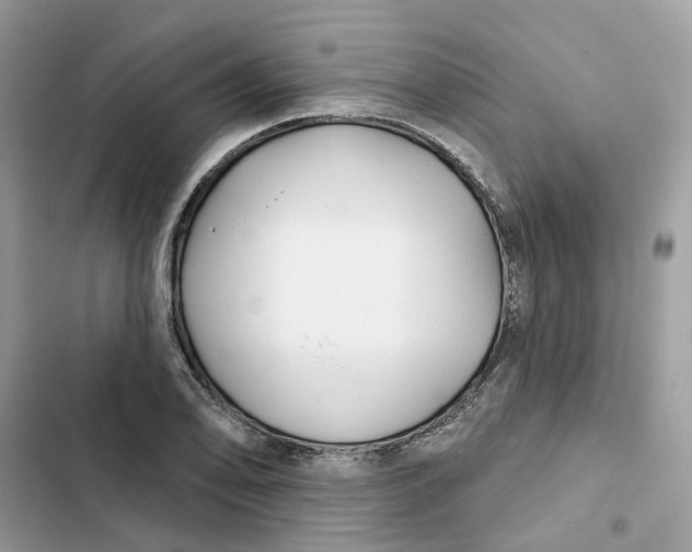 X0000103281078200809191801