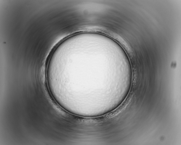 X0000103281079200809191800