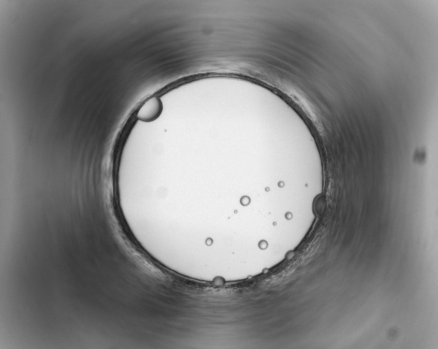 X0000103281080200809191800