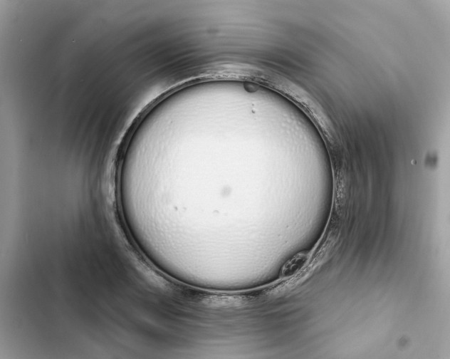 X0000103281083200809191800