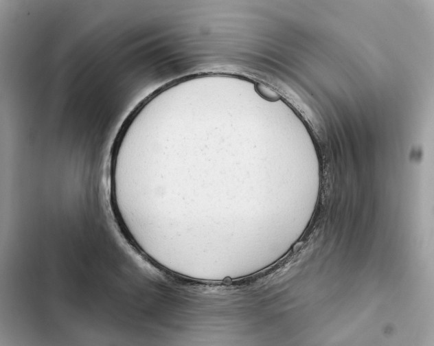 X0000103281084200809191800