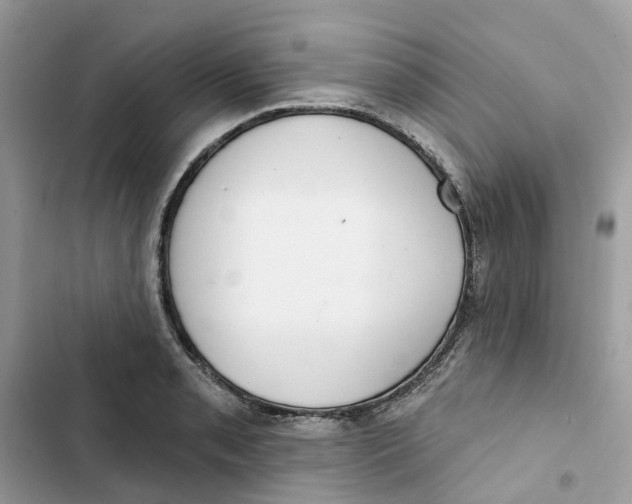 X0000103281085200809191800