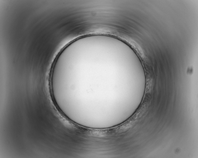 X0000103281086200809191800