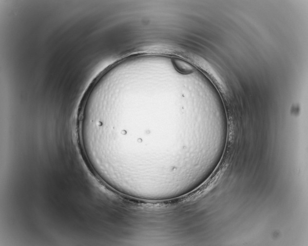 X0000103281087200809191800