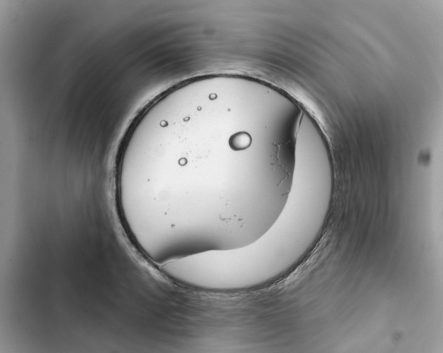 X0000103281088200809191800