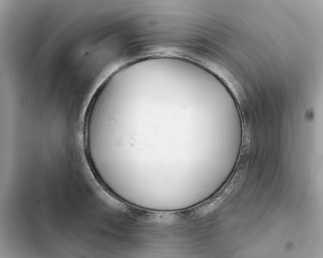 X0000103281090200809191800