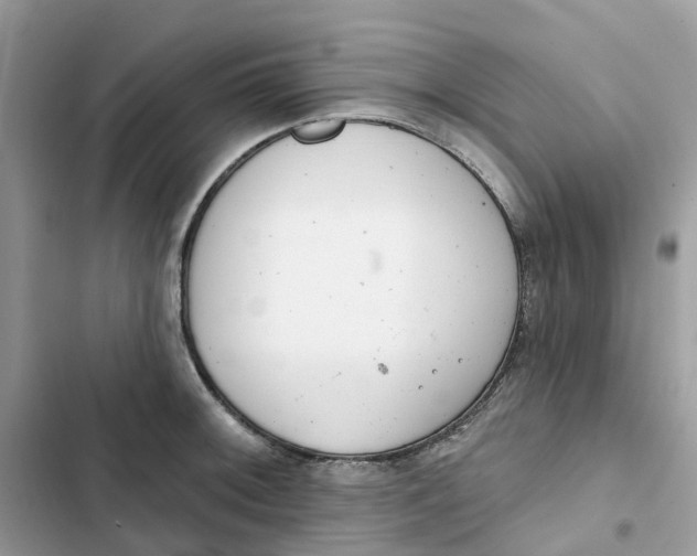 X0000103281092200809191800