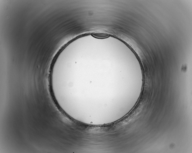 X0000103281093200809191800