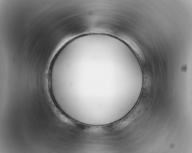 X0000103281094200809191800