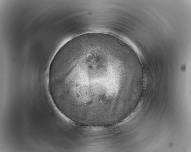 X0000103281095200809191800