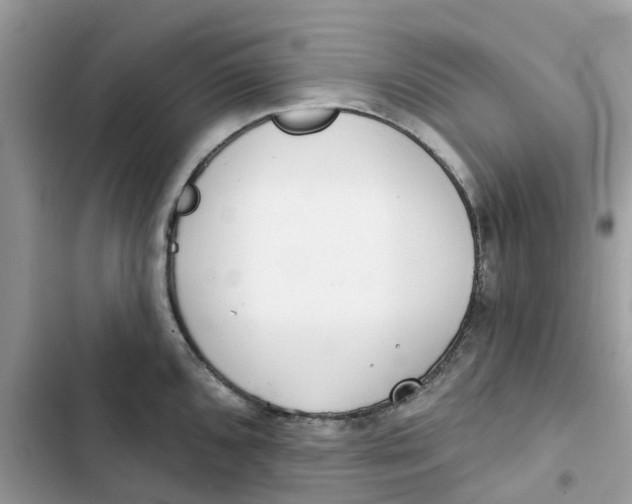 X0000103281096200809191800