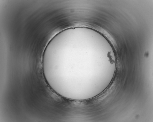 X0000103281097200809191800