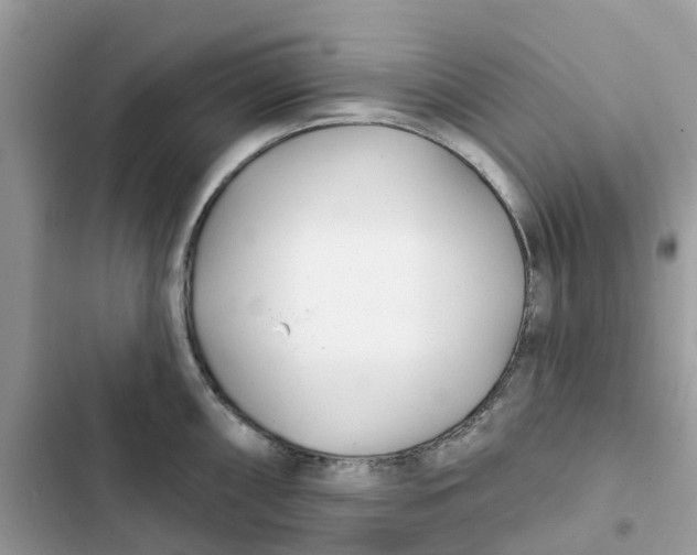 X0000103281098200809191800