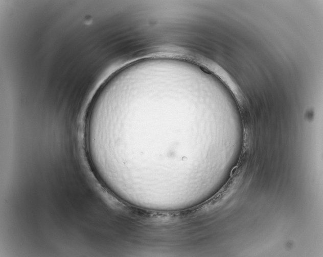 X0000103281099200809191800