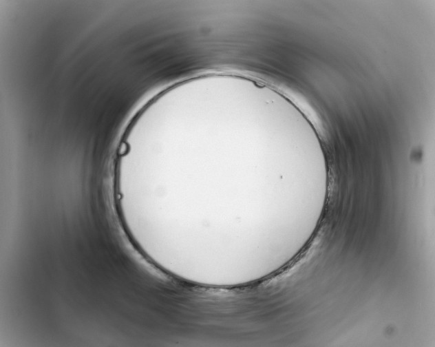 X0000103281100200809191800