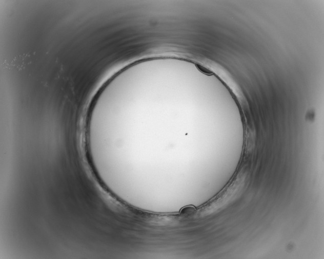 X0000103281101200809191800