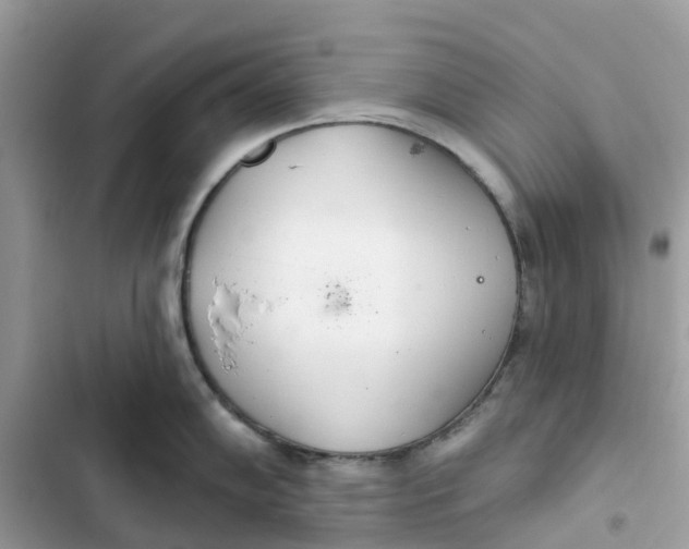 X0000103281102200809191800